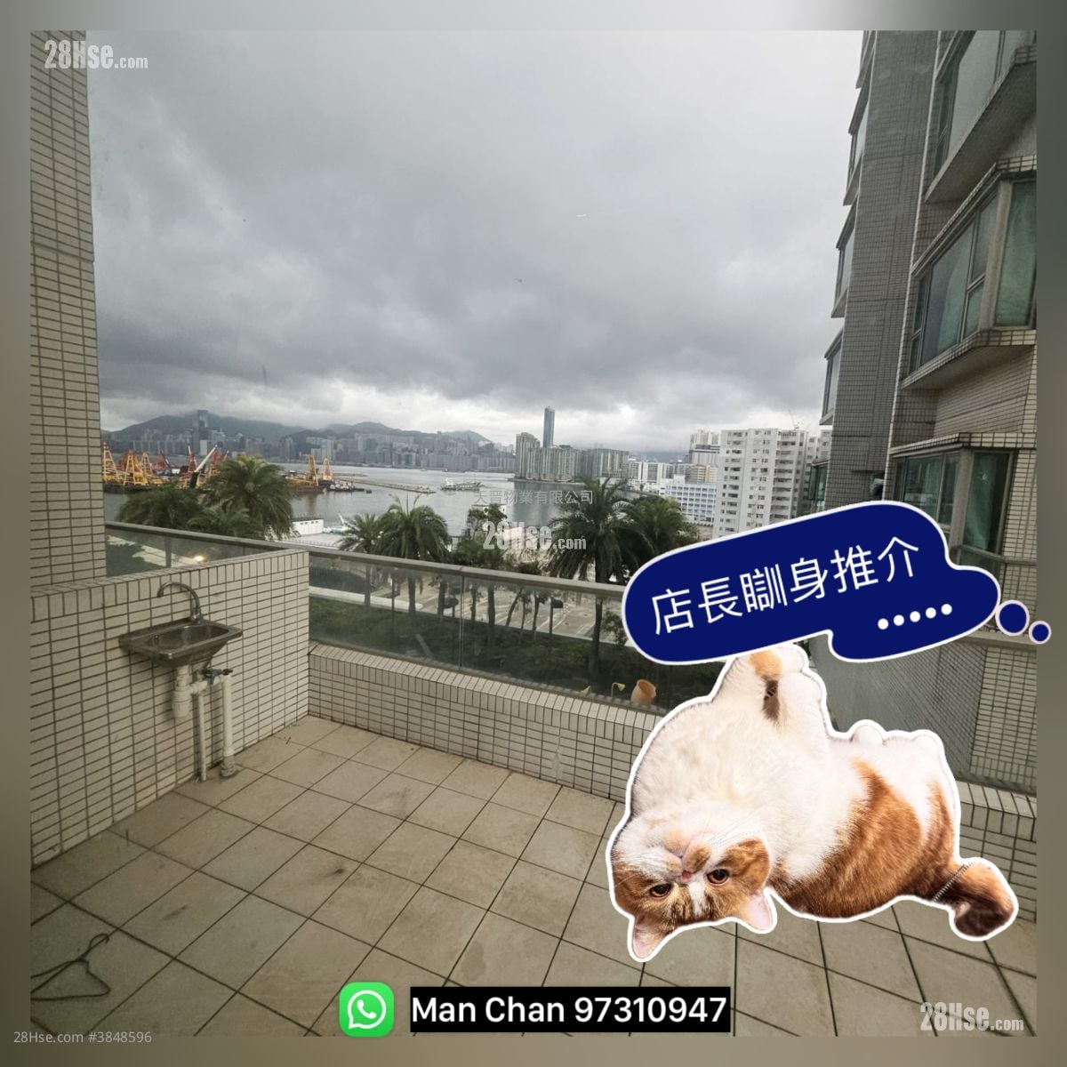 翔龍灣 售盤 2 房 , 1 浴室 339 平方呎