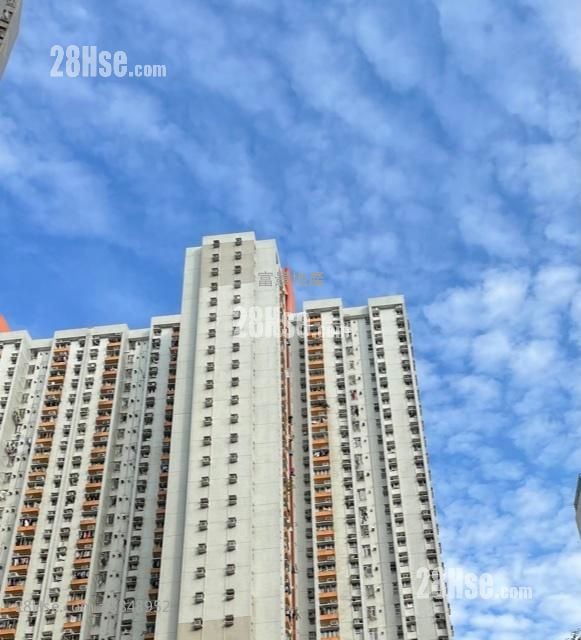杏翠苑 售盤 3 房 559 平方呎