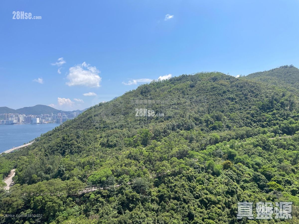 維景灣畔 租盤 3 房 , 2 浴室 639 平方呎