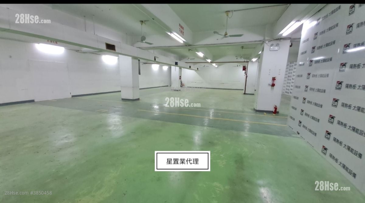 荃灣 租盤