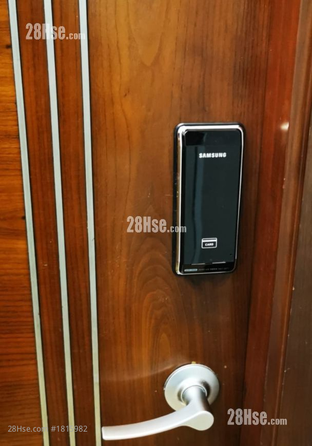 禮怡大廈 租盤 1 房 , 1 浴室 290 平方呎