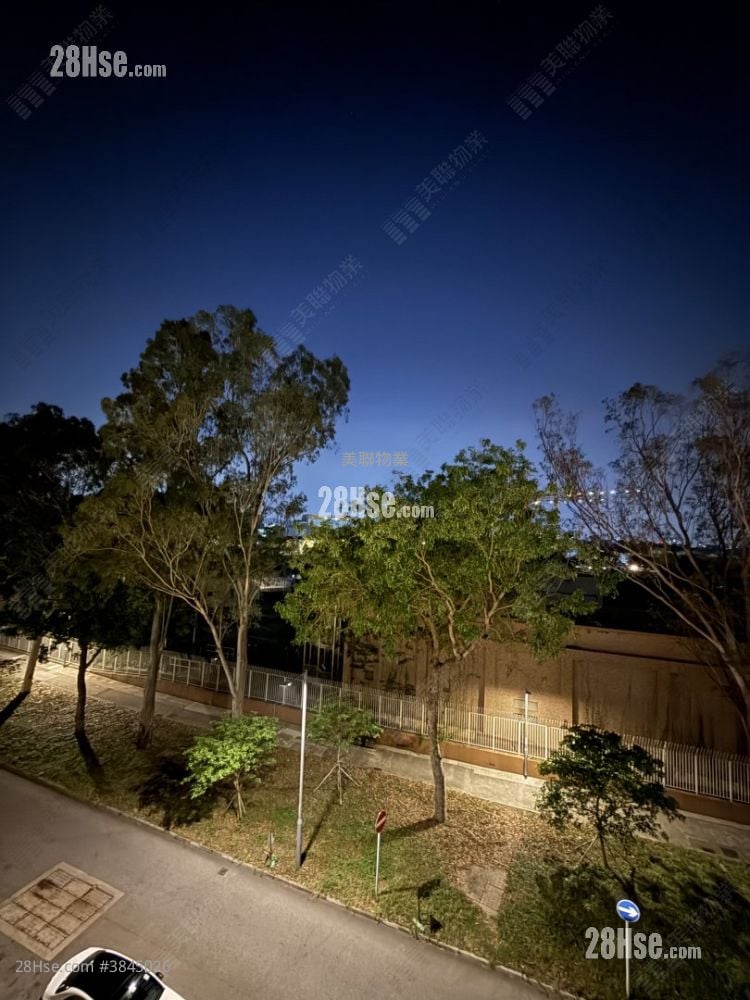 Twin Regency Rental 2 Bedrooms , 1 Bathroom 459 ft²