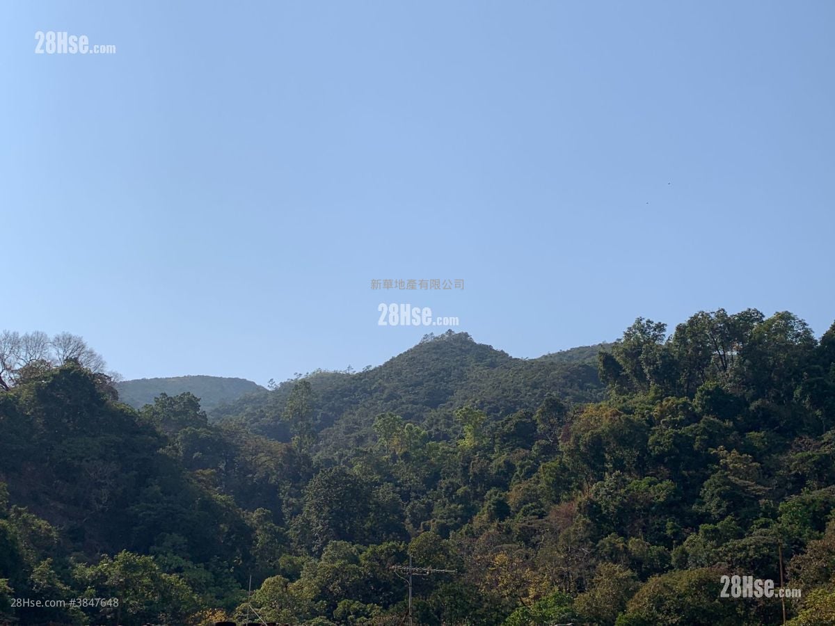 Tai Hing House Rental 267 ft²