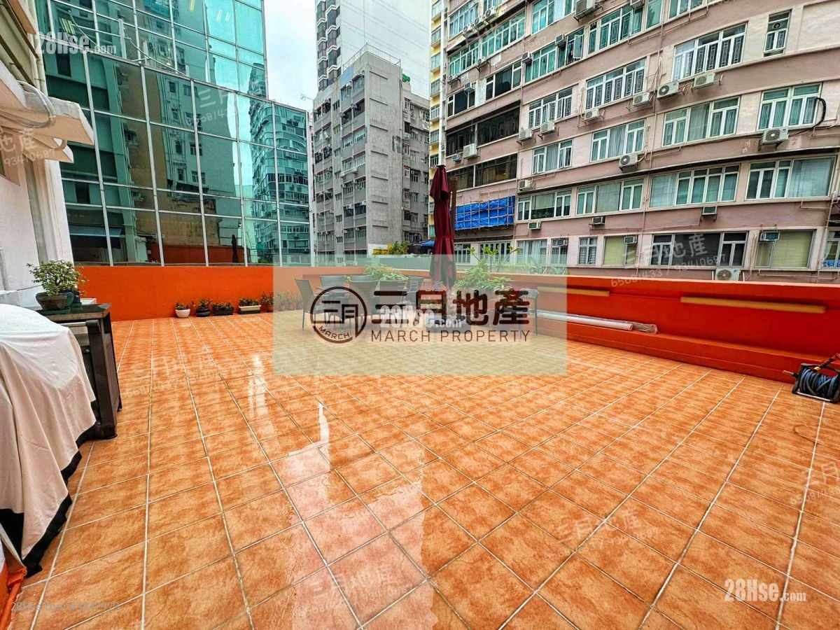 金辉阁 售盘 开放式间隔 , 1 浴室 325 平方尺