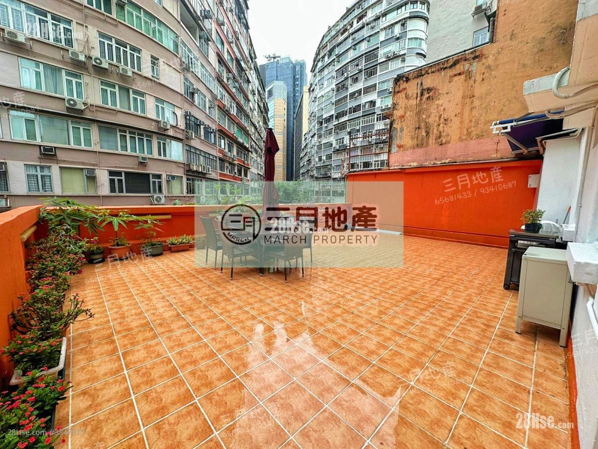 金辉阁 售盘 开放式间隔 , 1 浴室 325 平方尺