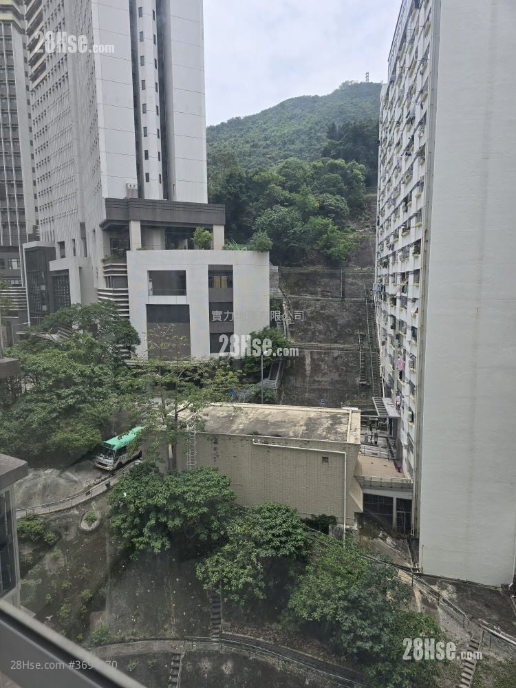 Smithfield Terrace Rental 1 Bedroom , 1 Bathroom 262 ft²