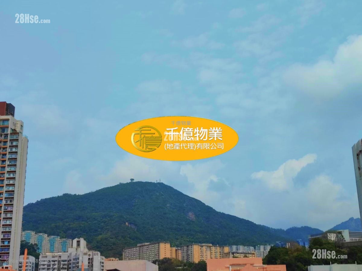 美居中心 售盤 1 房 , 1 浴室 310 平方呎