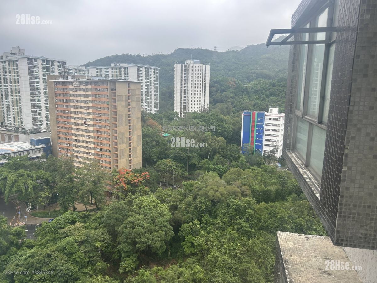金獅花園 售盤 1 房 , 1 浴室 270 平方呎