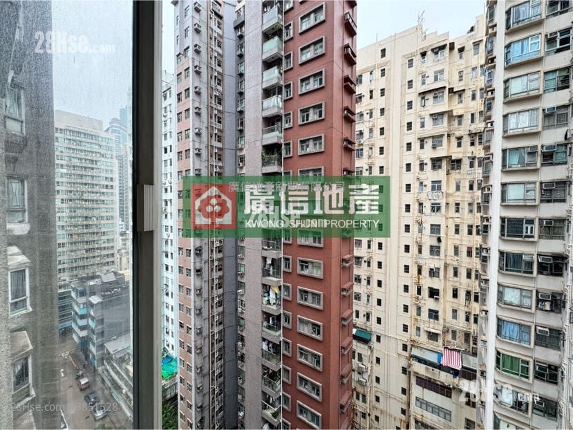 东安阁 售盘 242 平方尺