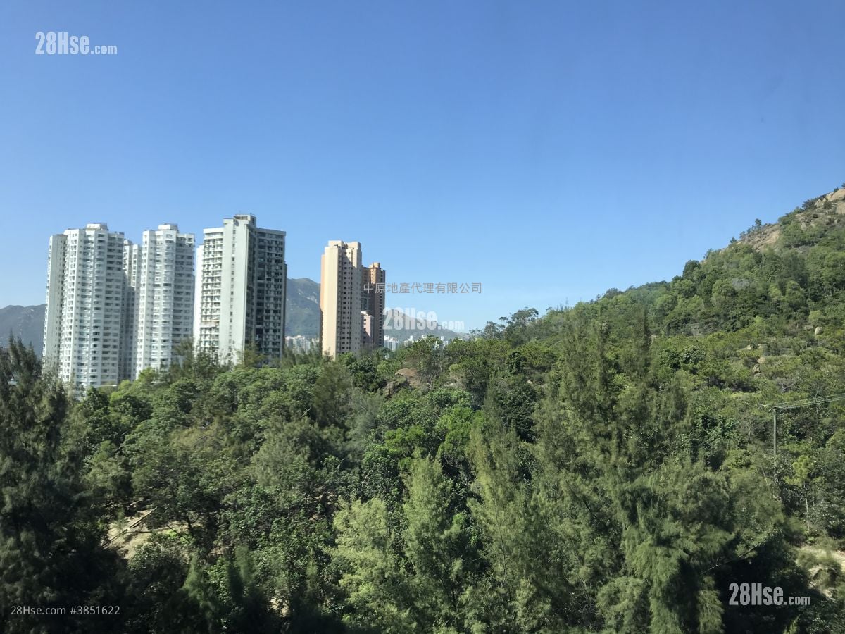 滿名山 租盤 2 房 , 1 浴室 586 平方呎