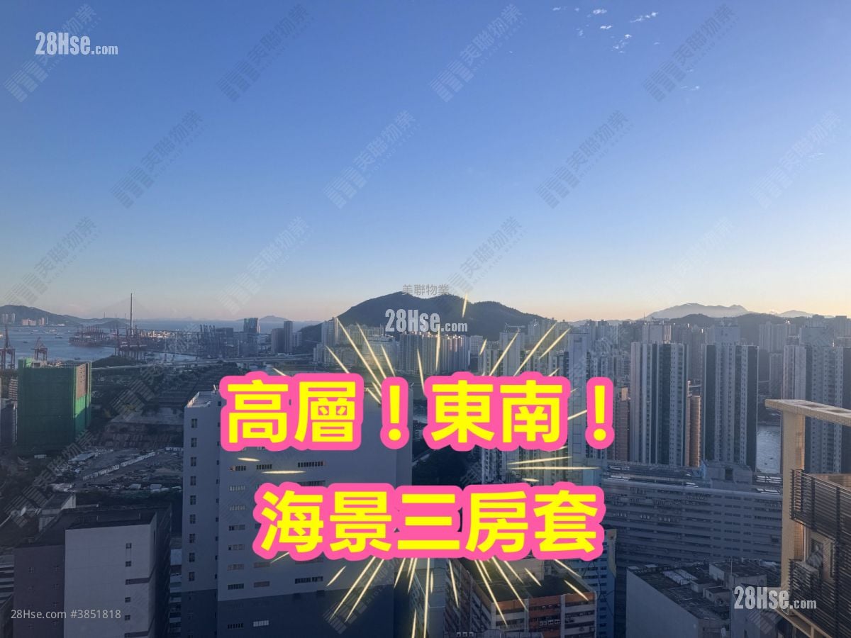 乐悠居 售盘 3 房 538 平方尺