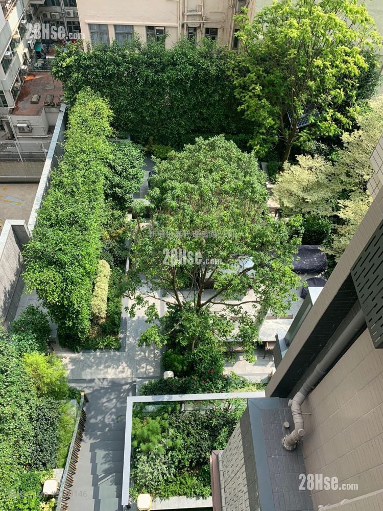 Downtown 38 Rental 1 Bedroom , 1 Bathroom 302 ft²