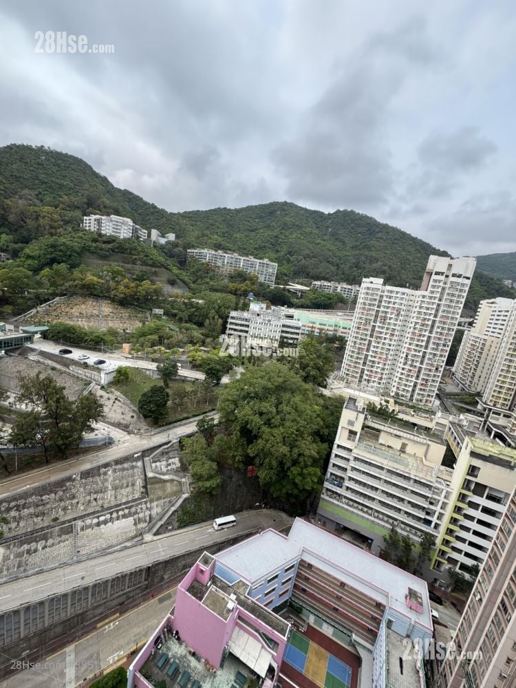 永寧大廈(順寧道) 租盤 開放式間隔 , 1 浴室 224 平方呎
