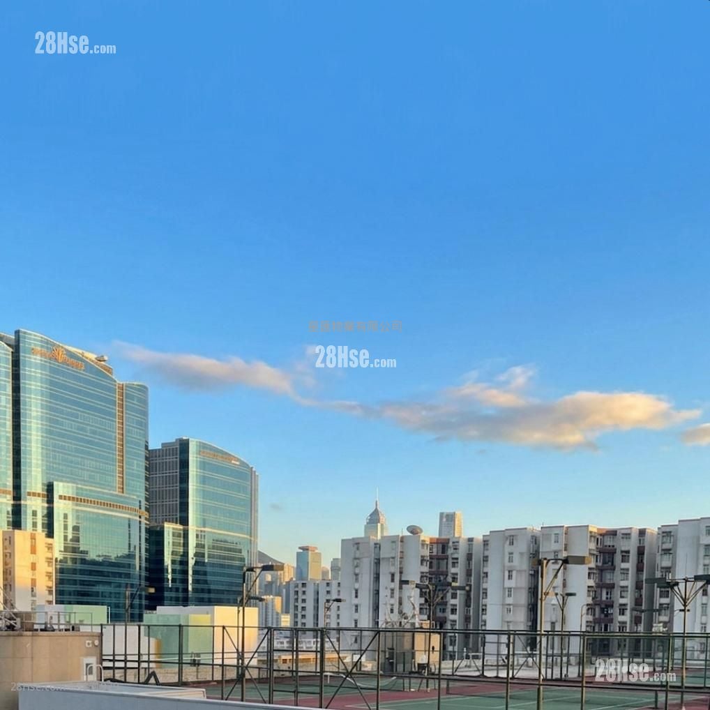 客廳觀景