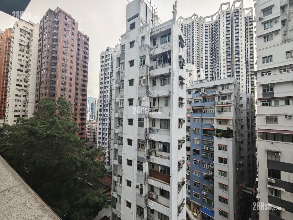 The Pavilia Hill Sell 3 Bedrooms , 2 Bathrooms 1,087 ft²