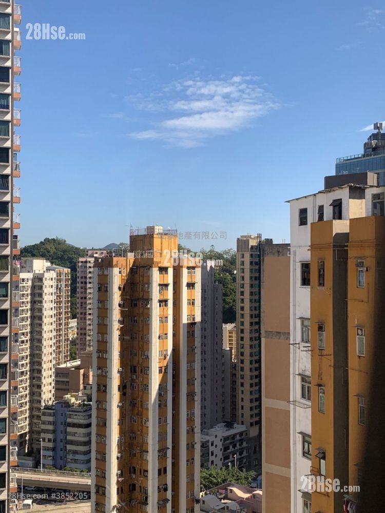 Shaukeiwan Plaza Rental 3 Bedrooms 445 ft²