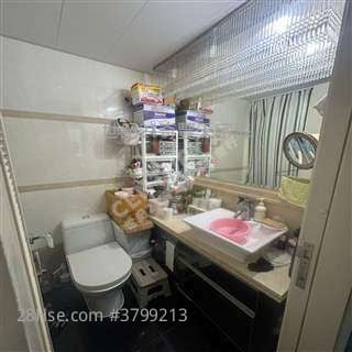 自用投資收租 馬鞍山世紀21奇豐>搵樓熱線： 嵐岸專門店  Danny 張生 51602208