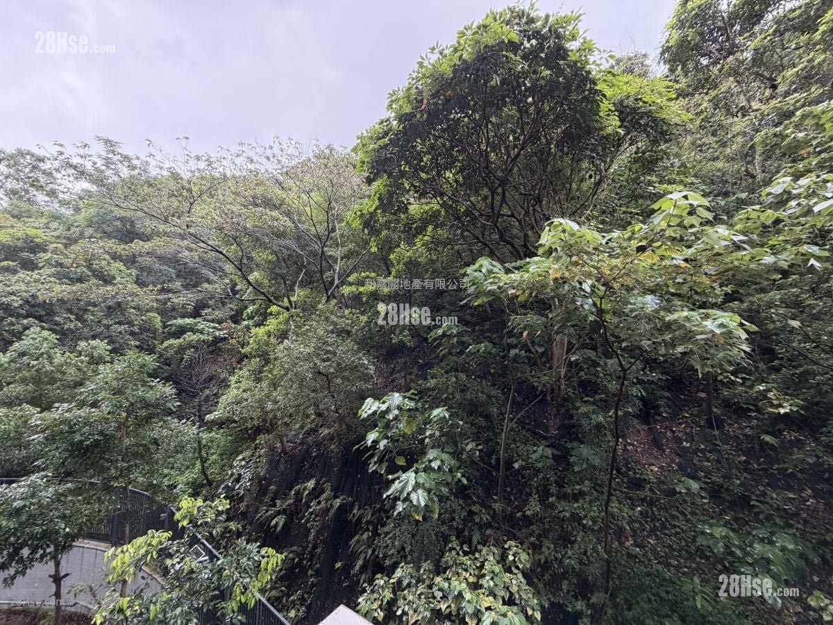畢架金峰 租盤 3 房 , 2 浴室 1,019 平方呎