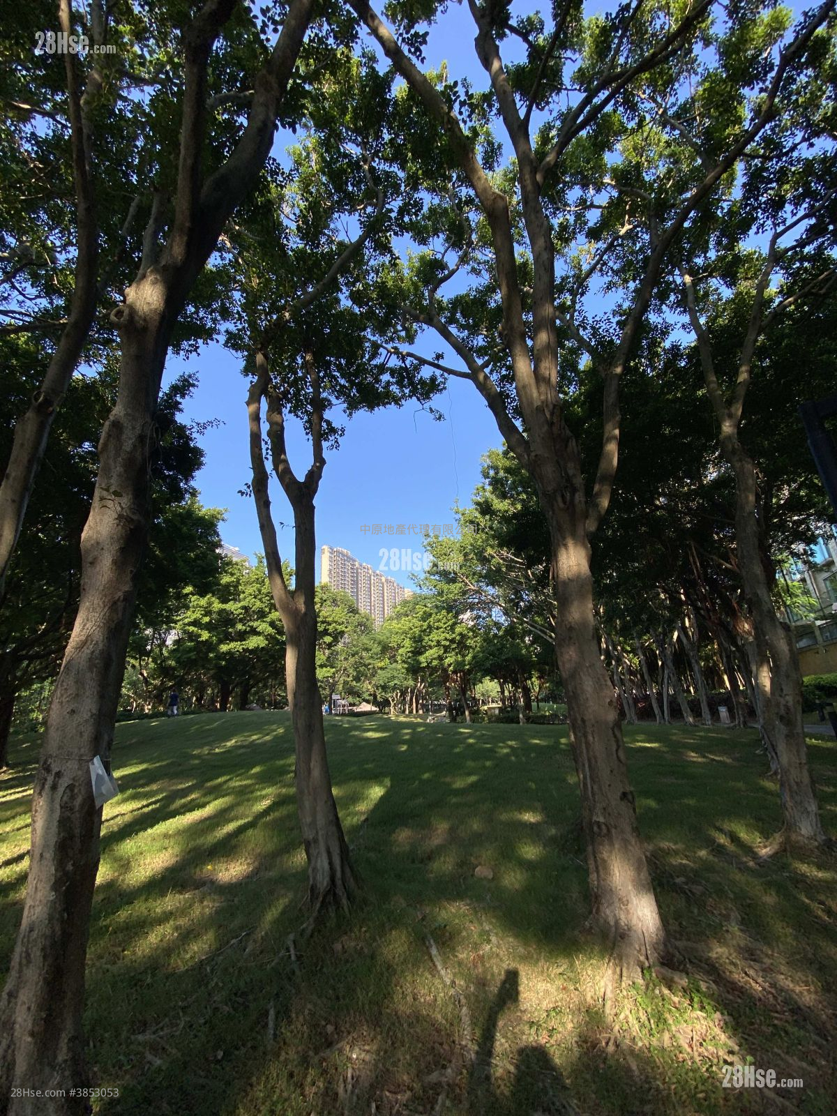 映湾园 售盘 2 房 , 1 浴室 495 平方尺