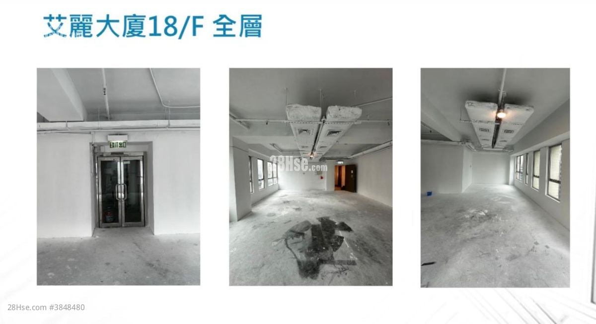 艾麗大廈 租盤