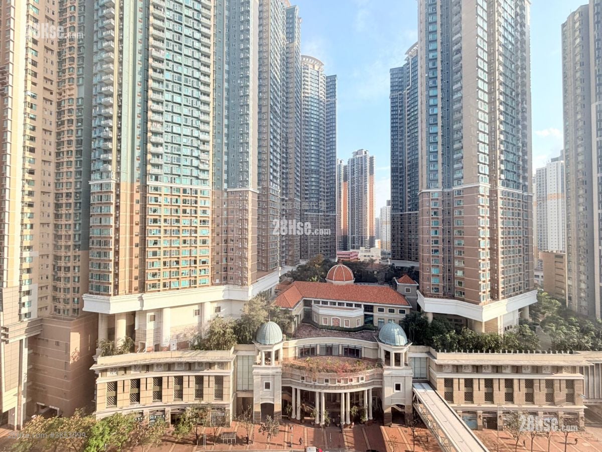 励丰中心 租盘 1 房