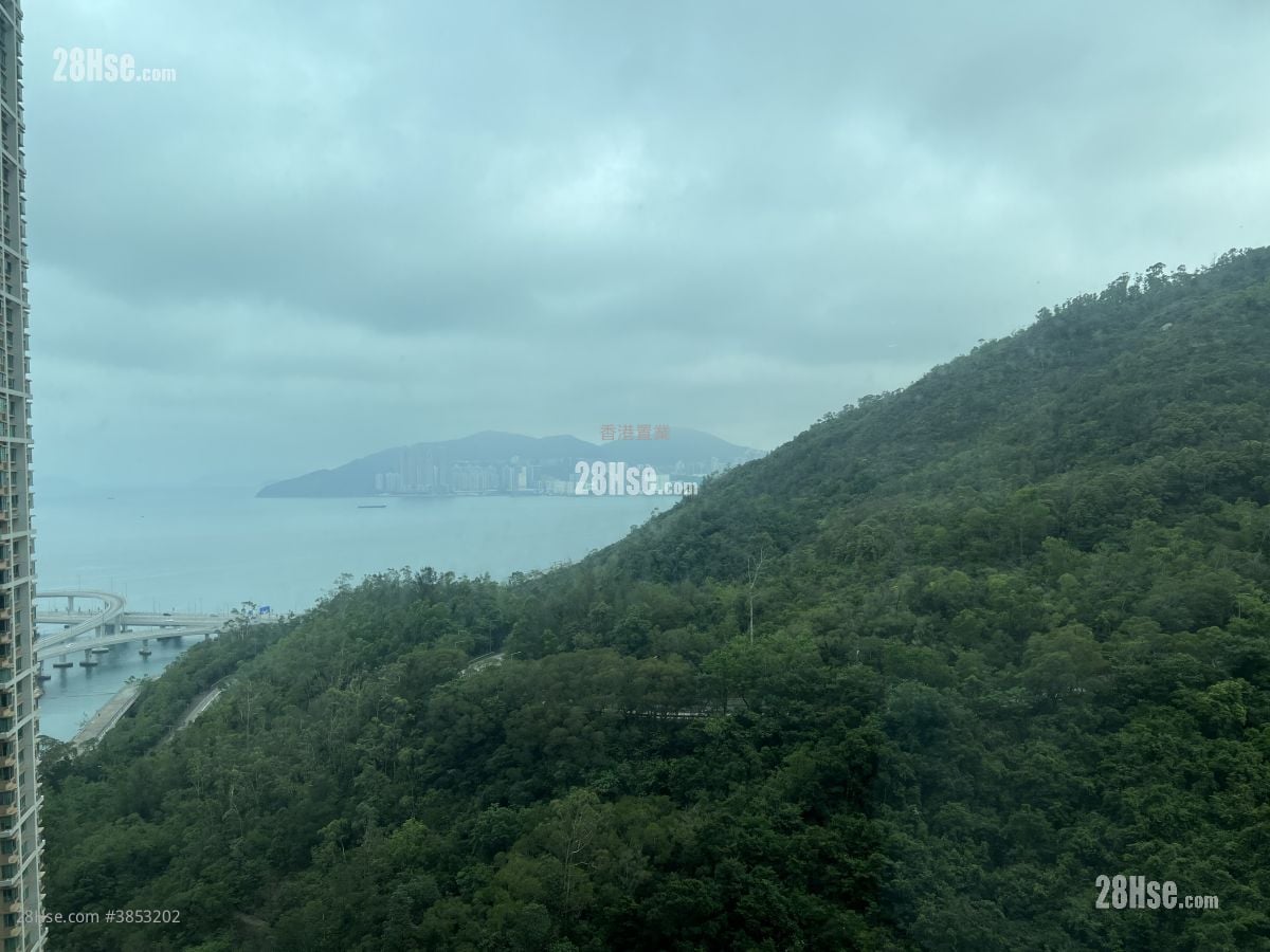维景湾畔 租盘 2 房 , 1 浴室 496 平方尺