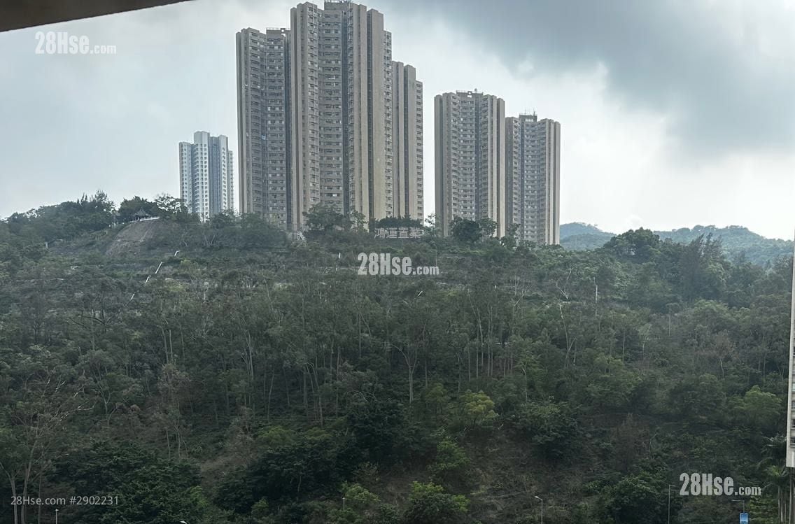 茵怡花园 售盘 3 房 , 2 浴室 564 平方尺