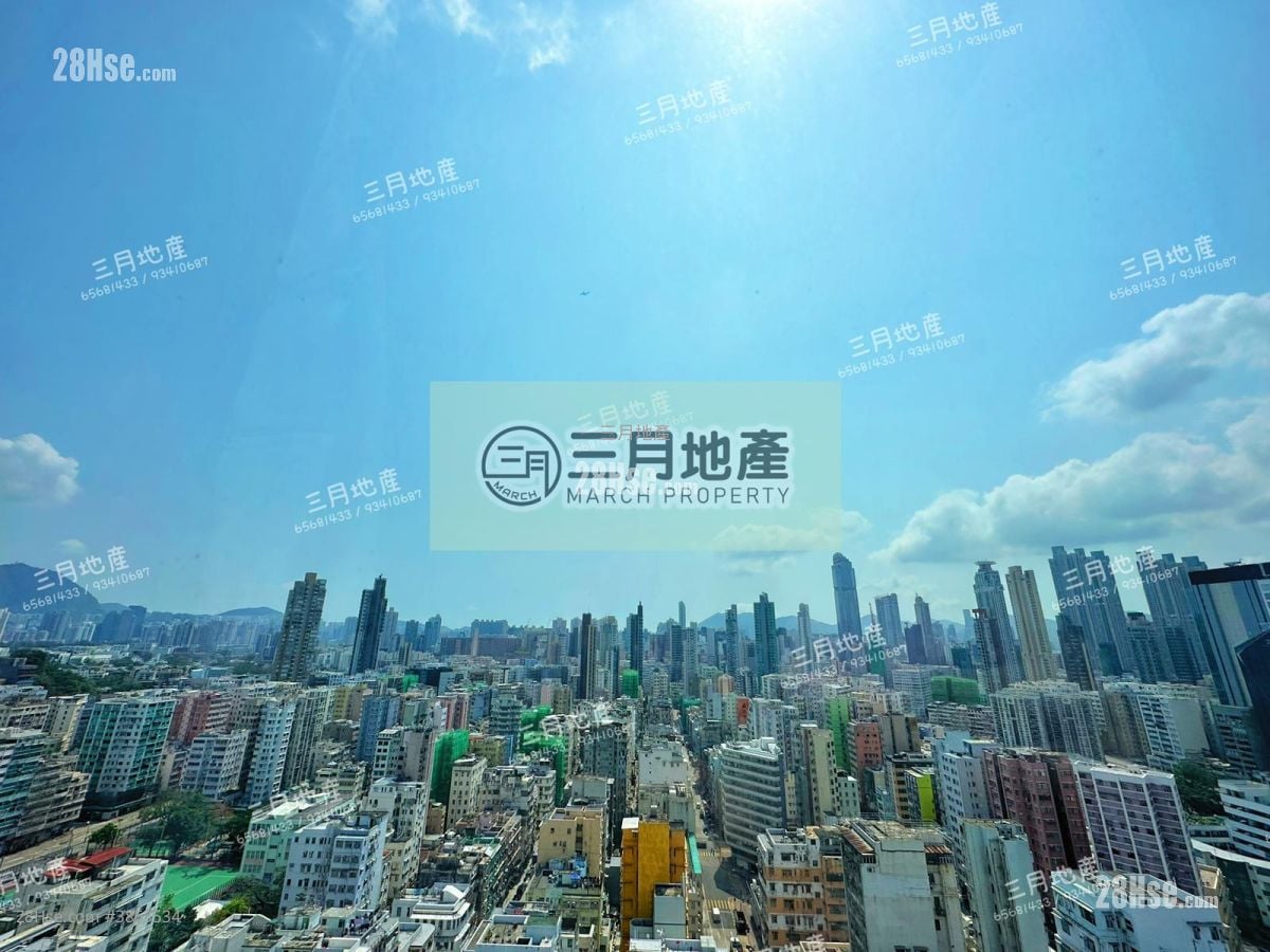 AVA228 租盤 249 平方呎