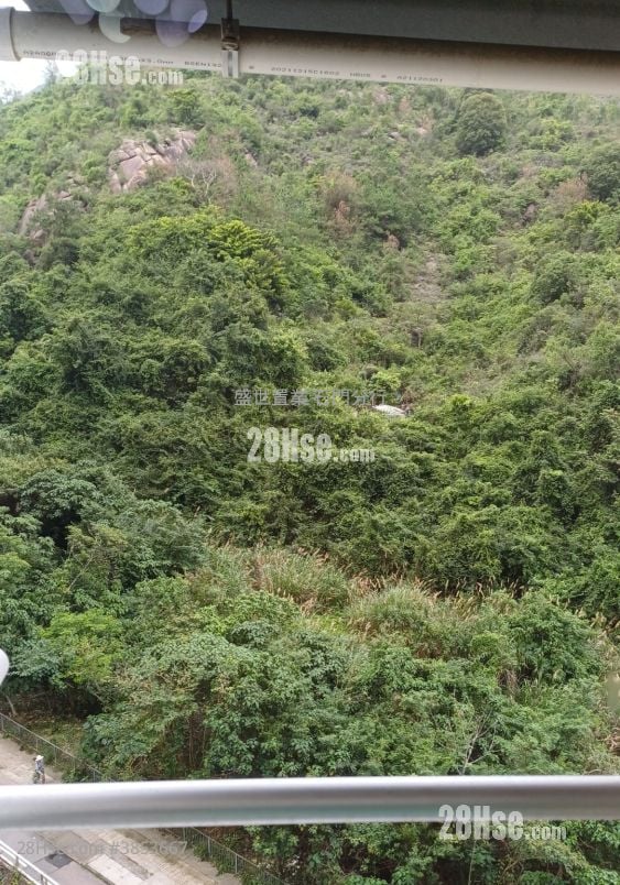錦駿苑 售盤 441 平方呎