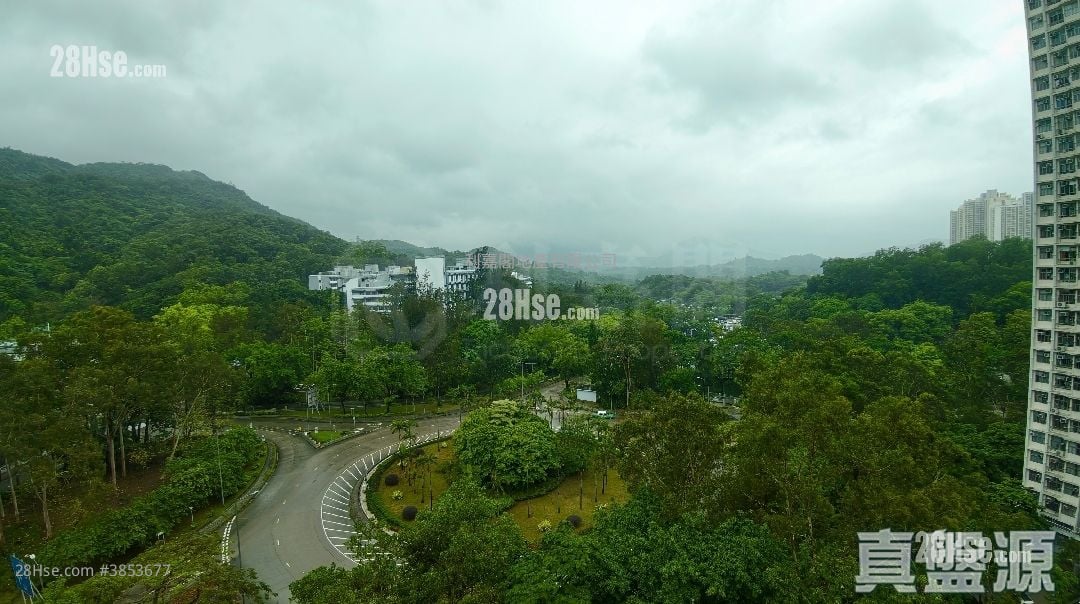 Royal Knoll Sell 4 Bedrooms , 2 Bathrooms 944 ft²