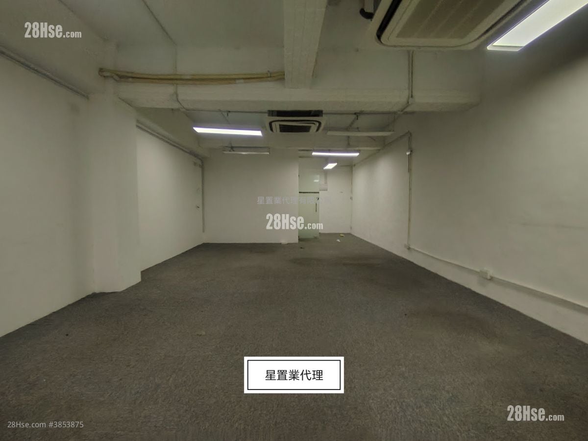 葵涌 租盤
