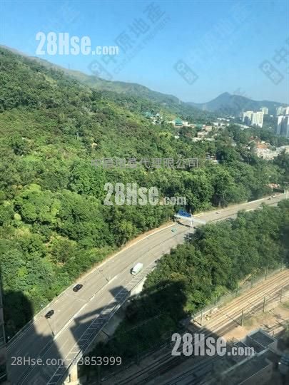 愉景新城 租盤 2 房 , 1 浴室 493 平方呎