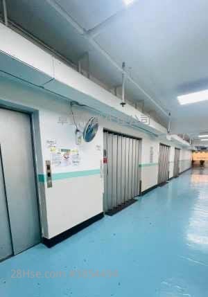 Hong Kong Industrial Centre Rental Studio 1,315 ft²
