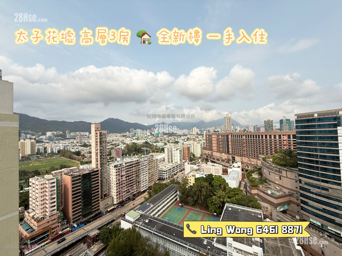 Elize Park 租盤 3 房 , 1 浴室 438 平方呎