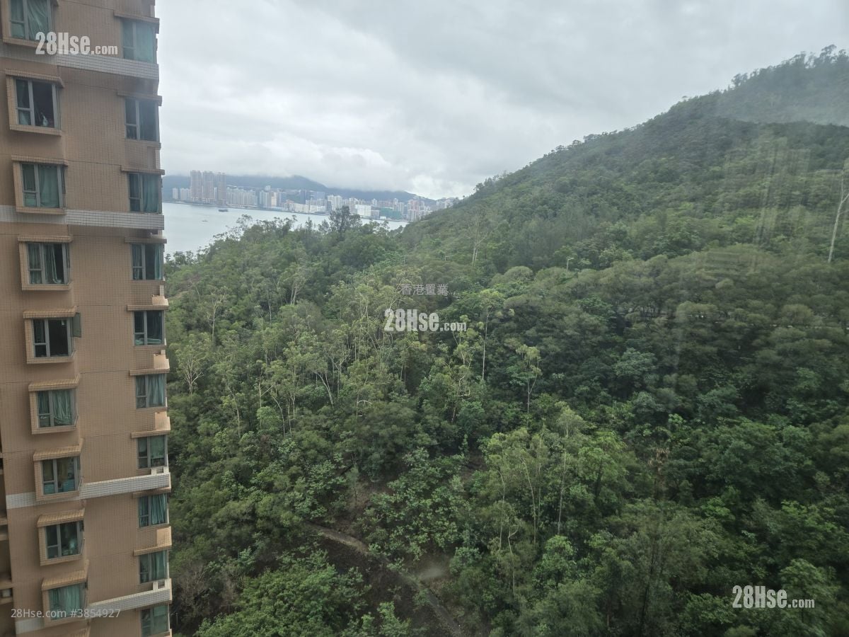 維景灣畔 租盤 2 房 , 1 浴室 511 平方呎