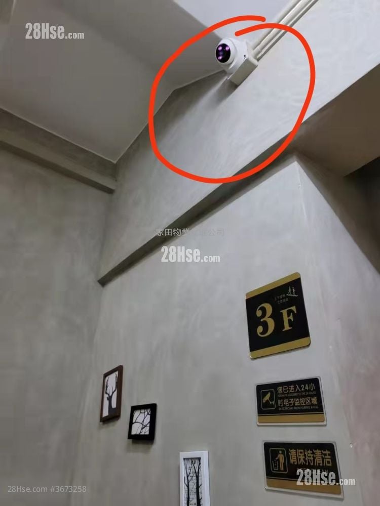 193-195 Shanghai Street Rental 1 Bedroom , 1 Bathroom 220 ft²