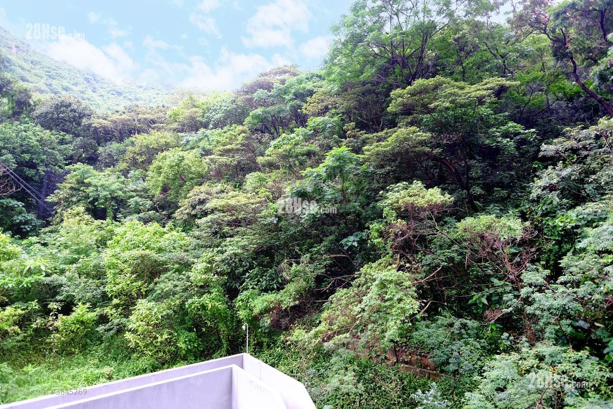 View: The Grand Marine Sell 1 Bedroom , 1 Bathroom 305 ft²
