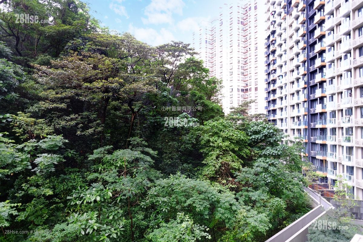 View: The Grand Marine Sell 1 Bedroom , 1 Bathroom 305 ft²