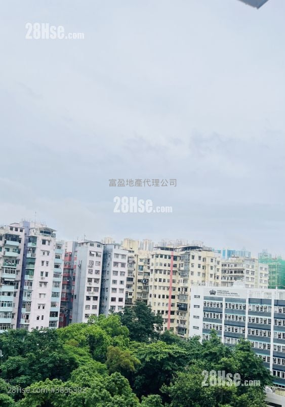 觀月樺峯 租盤 2 房 , 1 浴室 559 平方呎