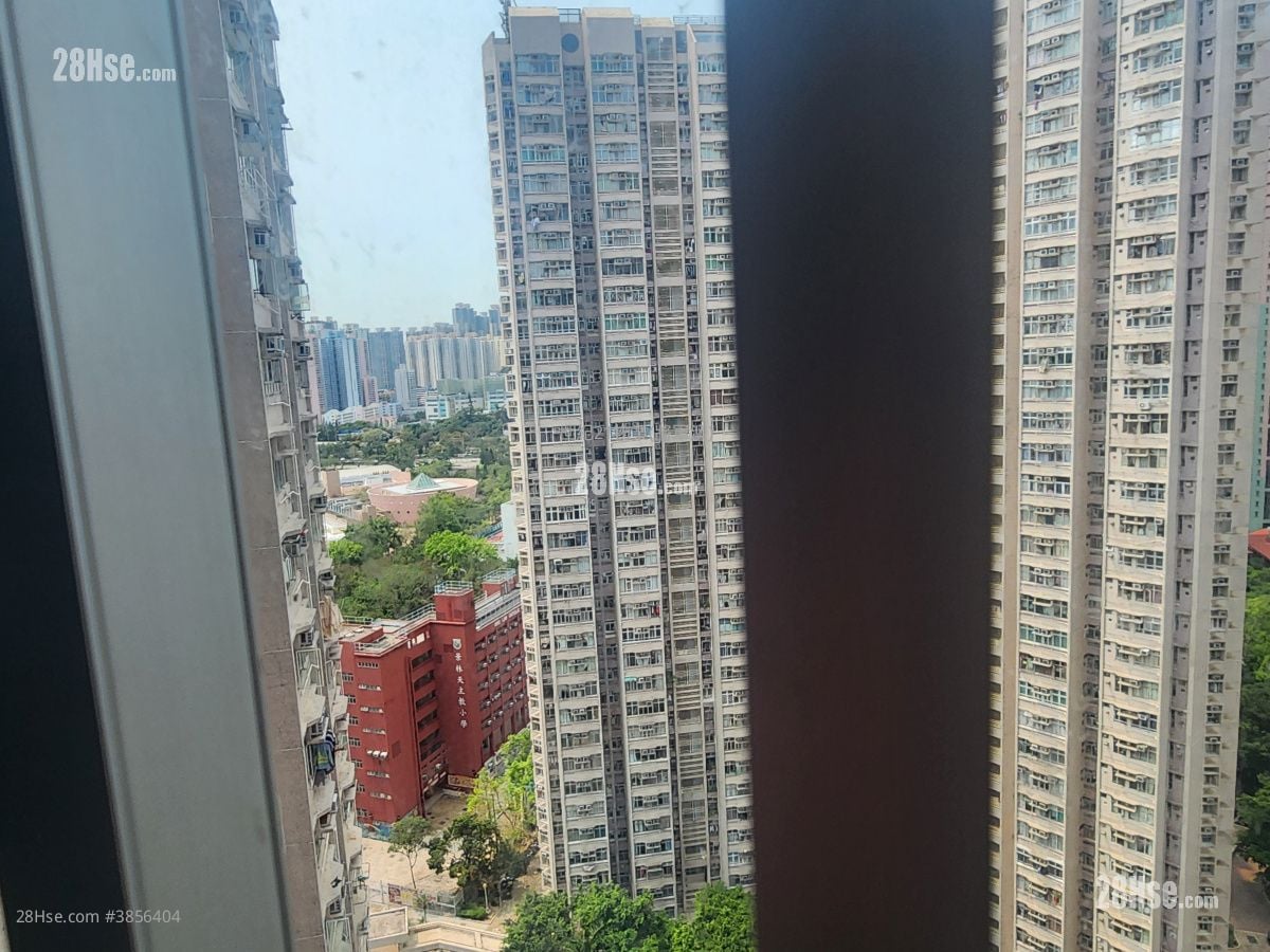 景林邨 售盘 381 平方尺