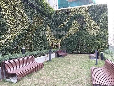 喜築 售盤 1 房 , 1 浴室 333 平方呎