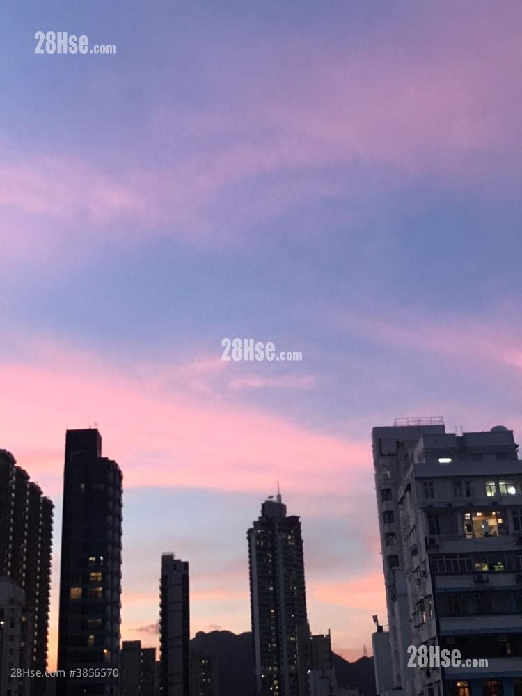 翹望獅子山
