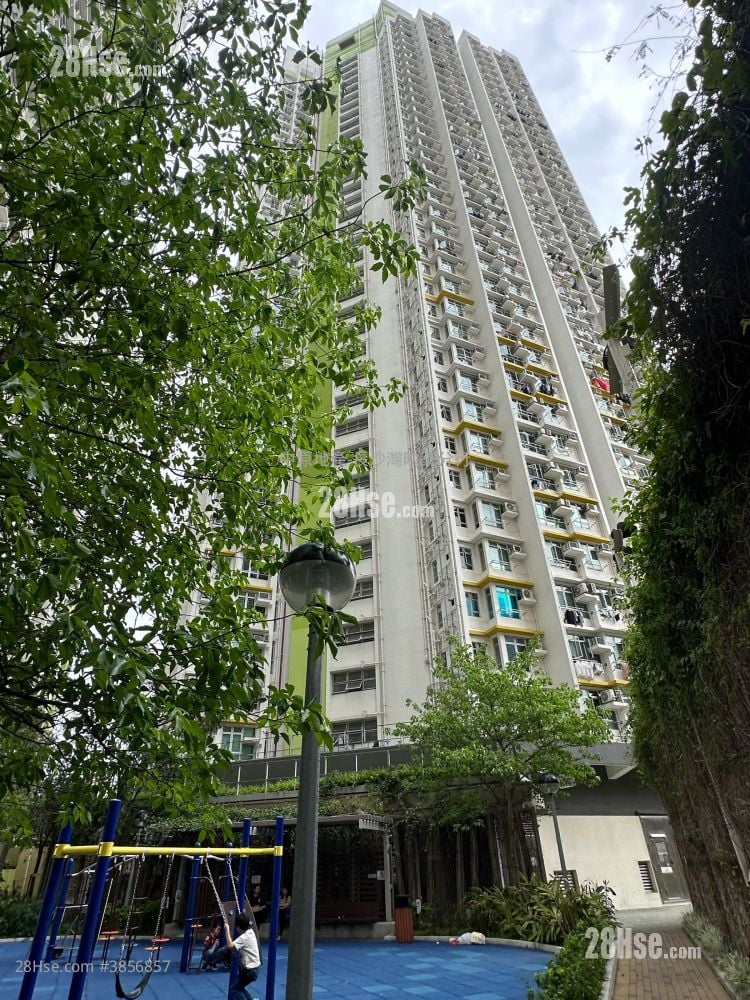 麗翠苑 售盤 3 房 452 平方呎