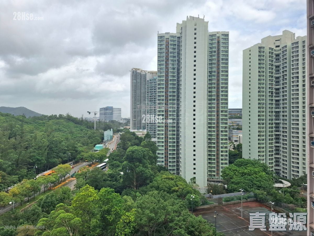裕东苑 租盘 2 房 , 1 浴室 433 平方尺