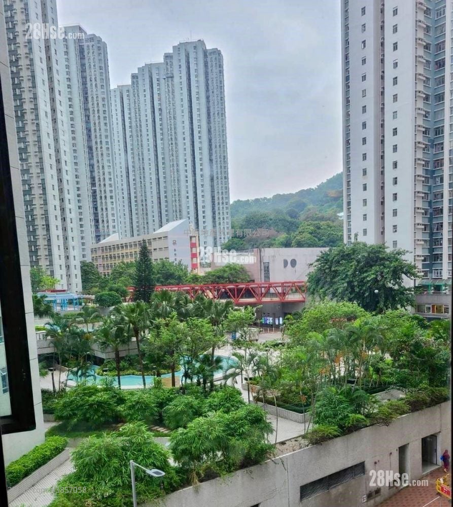 Serenade Cove Rental 3 Bedrooms , 2 Bathrooms 608 ft²