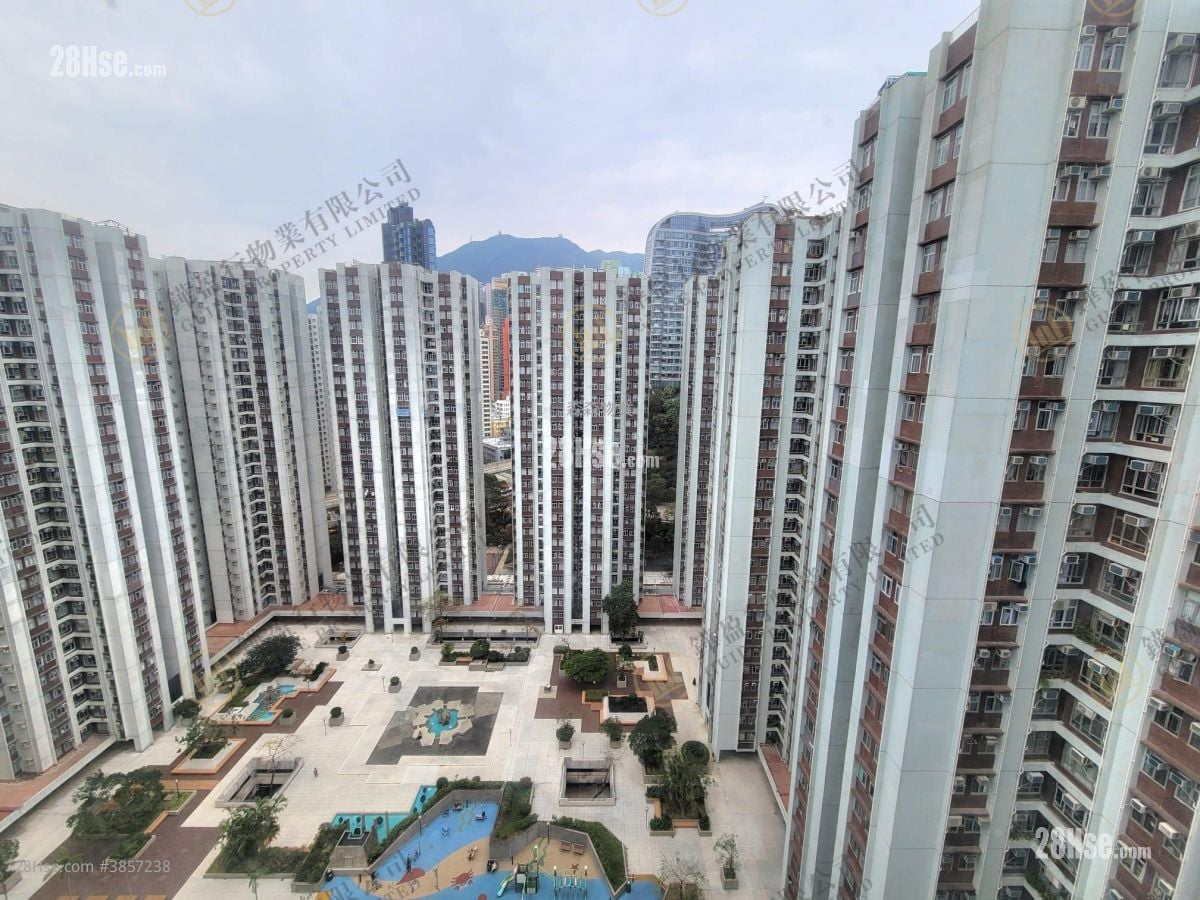 Taikoo Shing Rental 503 ft²