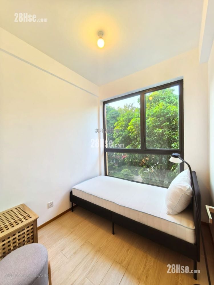 Treasure Cove 1 Rental 2 Bedrooms , 1 Bathroom 467 ft²