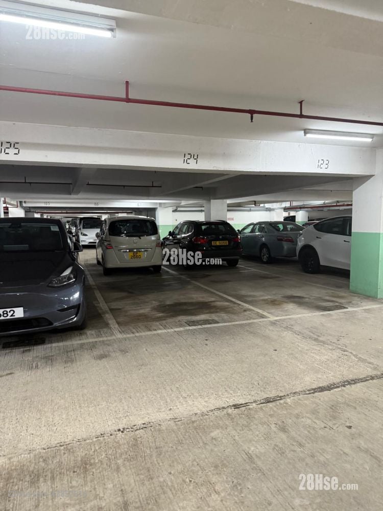 City One Shatin Rental
