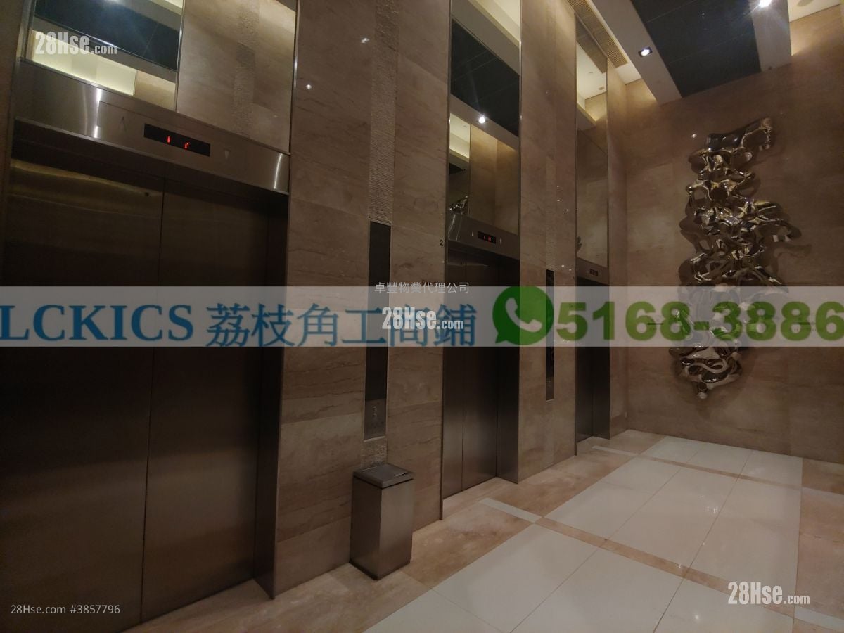 Ceo Tower Rental Studio 56 ft²
