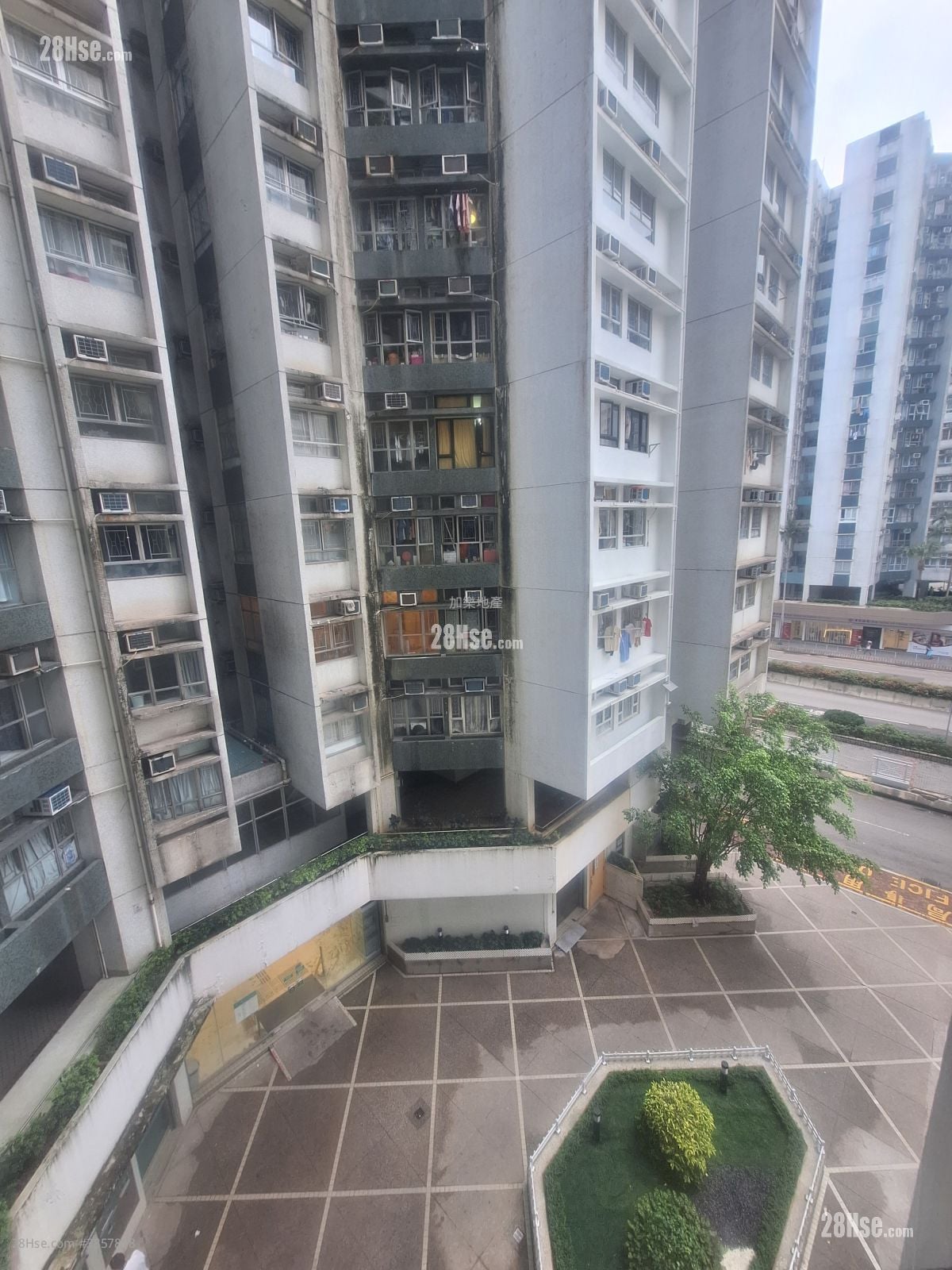 Whampoa Garden Rental 2 Bedrooms , 1 Bathroom 389 ft²